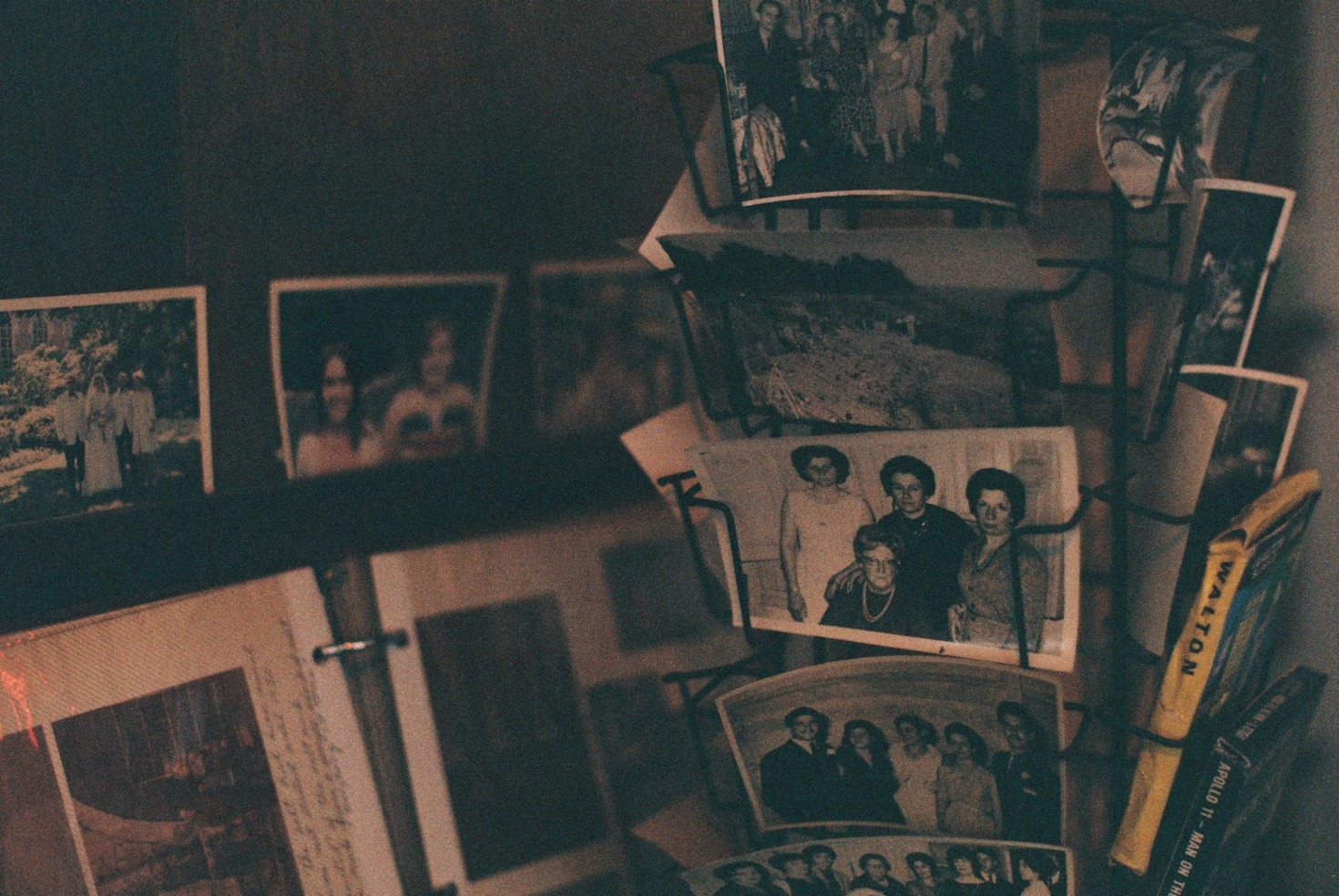 Tracing the Staples Family Roots Across Time